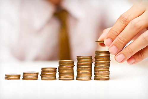 确定公司经营范围