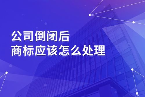 注册美国公司商标的流程