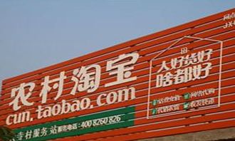农村淘宝菜鸟物流存在的问题
