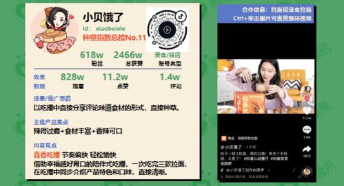 养号过程需要注意的要点