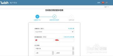 Wish平台收款方式概述