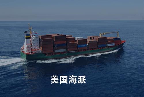 人工查验（MET）