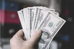 Money Market Account（货币市场账户）特点