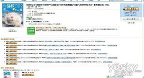 三、亚马逊物流轨迹查询技巧