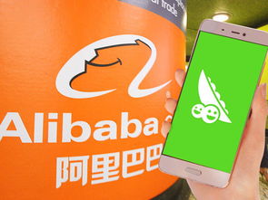 冬季爆款矩阵：加绒加厚羽绒服、 可水洗真丝睡衣套装