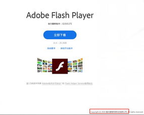 优化商品描述和视觉效果：吸引顾客眼球