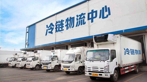 二、 冷链物流成本优化实战策略