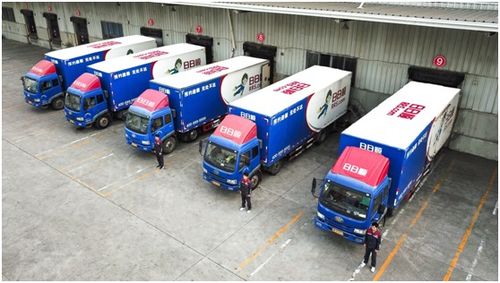 需验证欧罗巴联盟物流牌照、 查堪清关差错率数据、测试GPS定位系统精度，优先选择提供货物保险与24小时双语客服的服务商