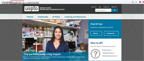 三、 亚马逊商标侵权风险的防范措施