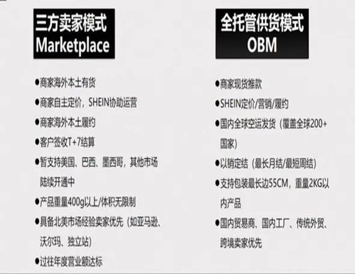 一、 SHEIN平台概述