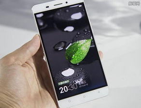 包装和标志：仔细观察金立手机的包装和标志