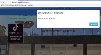 观众反馈：评论中的秘密信息