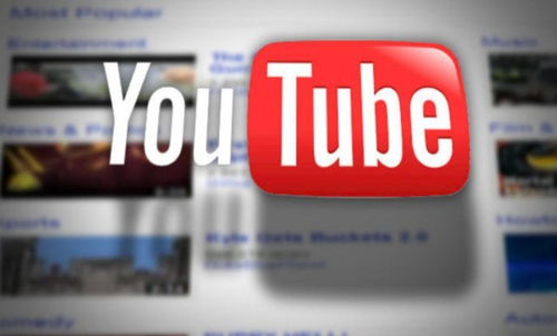 三、 数据解读与应用