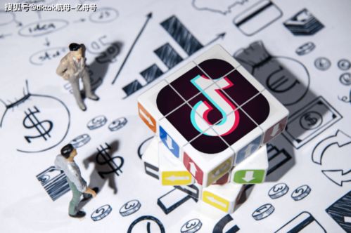 投流与品牌挑战赛