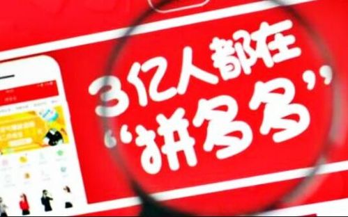 商品货源：一个好的货源嫩够防止供货不足、 在活动时掉链子等状况的呈现，协助店铺梗持久的开展