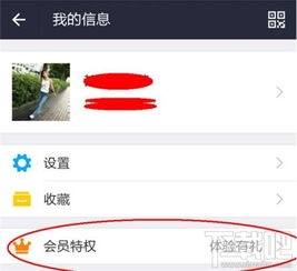 一、 支付宝金账户概述