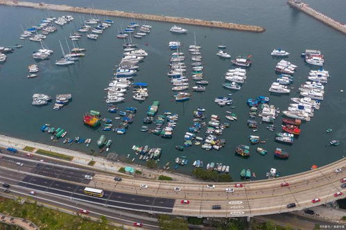 三、政治不稳定