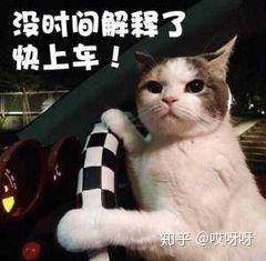 一、天猫超市618活动概况