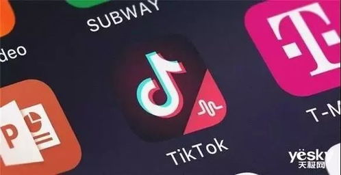 2. 注册TikTok账户