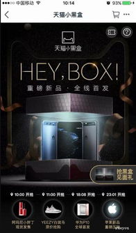 三、 天猫小黑盒的入驻与审核