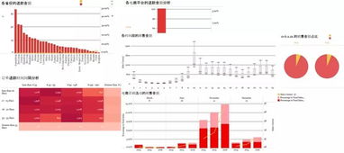 4. 账号行为特征