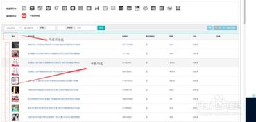 1. 精准定位目标关键词