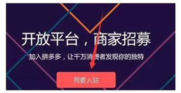 拼多多TEMU入驻过程详解