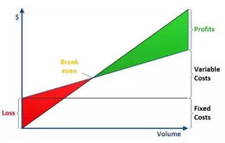 一、Shein店铺一天可依上新多少件产品？