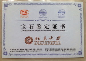 六大宝藏证书盘点：为小白量身定制的转行指南