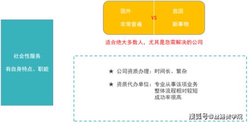 2. 比较不同代办机构的费用和服务