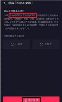 抖加广告效果不佳的原因及应对策略