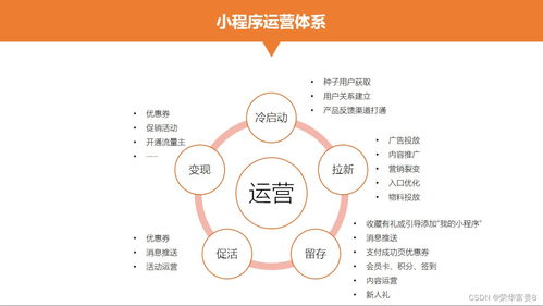 一、 市场分析与目标客户群体定位