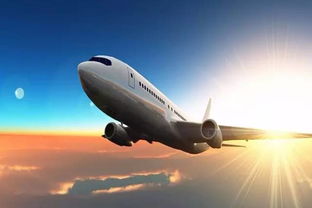 区域性爆仓特征及其应对策略