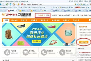 四、 违规处理与账户管理