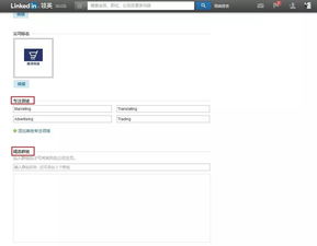 LinkedIn公司主页创建指南：打造企业线上形象的全方位攻略