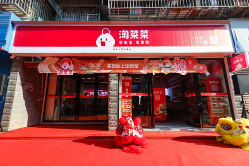 三、淘菜菜买菜卡的性价比分析