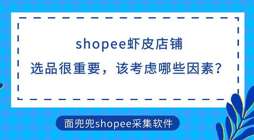 四、 了解目标市场与消费者需求