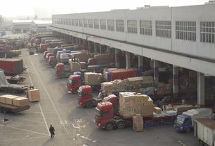 运输过程中的注意事项与专业物流服务