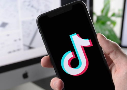 4. 会员充值优惠