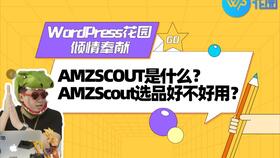 三、 AMZ Scout：实时数据监控，助力商家抢占市场先机
