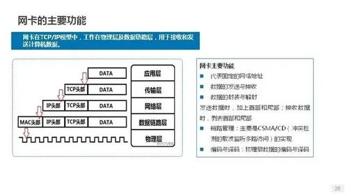 时效性与价格考量