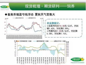 五、集运模式下的运费分摊与不确定性
