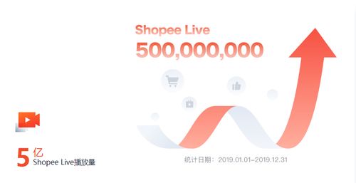 其他知名电商平台