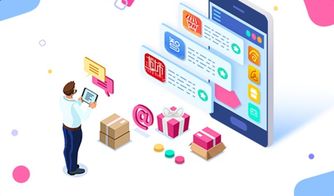 一、 美客多平台发展现状概述