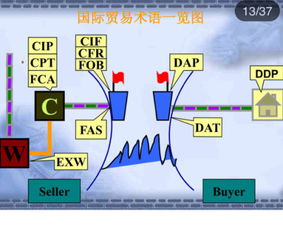 二、 DAT术语的具体含义