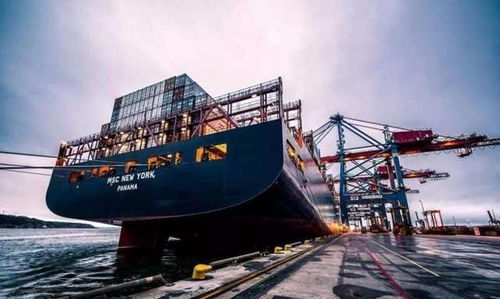 货物损毁、 运输延误及战争风险的精准保障