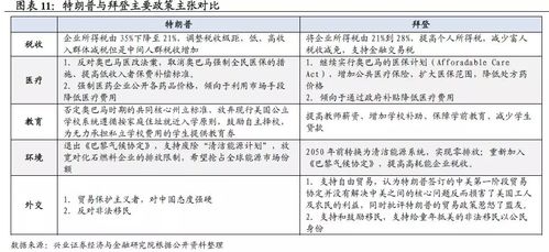 四、 应对策略与未来展望