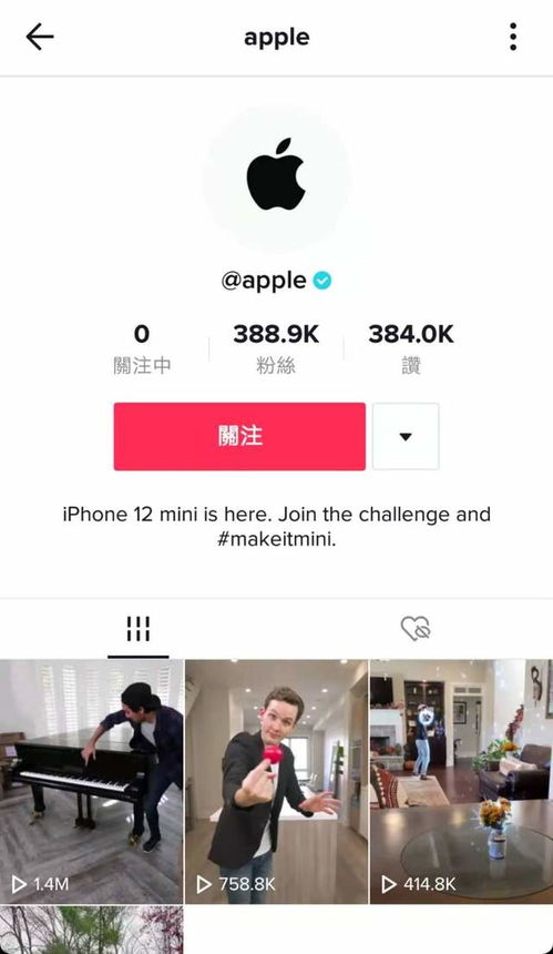 优化标题和标签