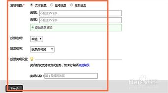 二、 投票类型与选项配置