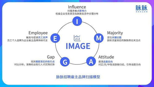 流量分配依赖平台政策